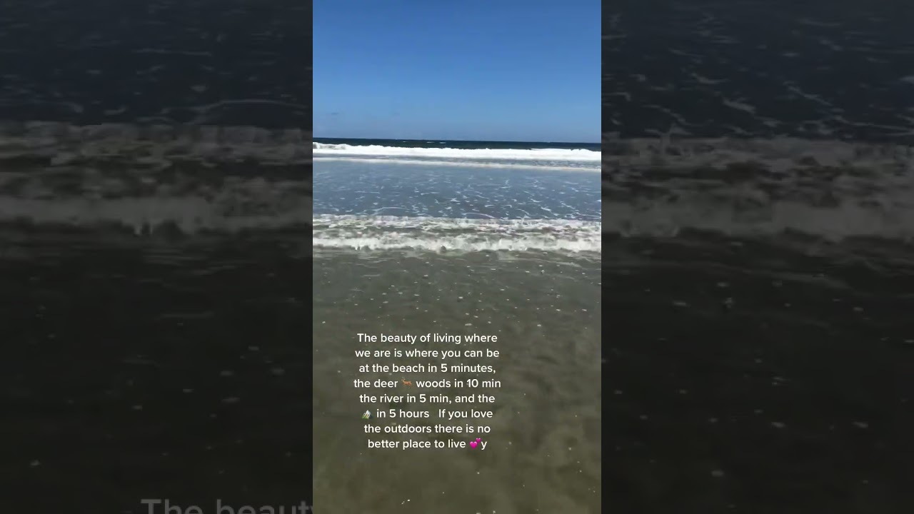 Living the Coastal Life: Beach, Woods & River All in One Place 