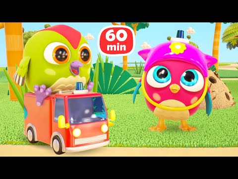 1 HEURE avec HopHop le hibou. Dessins animés sur les aventures de petits oiseaux pour enfants