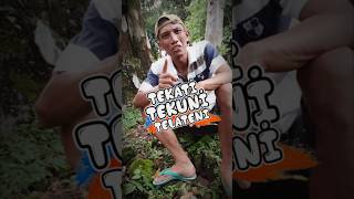 Tekati Tekuni Telateni shorts viral trending