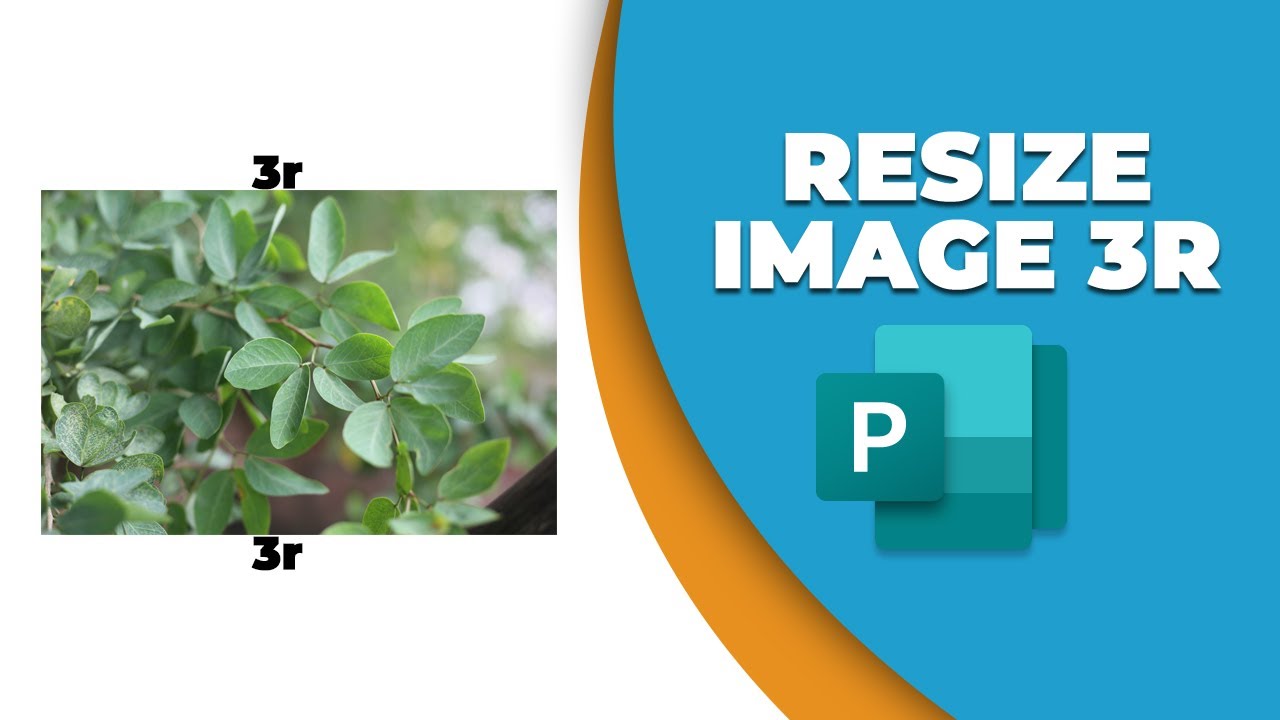 How to resize an image to 3R in Publisher - YouTube