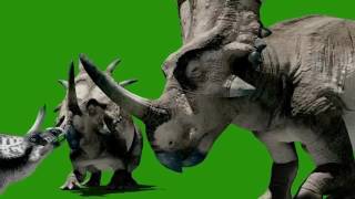 Triceratops Green Screen Dinosaurus Juric World