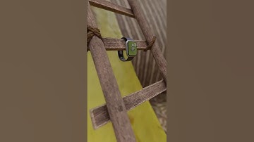 Infinity loop #loop #blender #3d #blender3d #animation #animation2d #animation3d #animationart