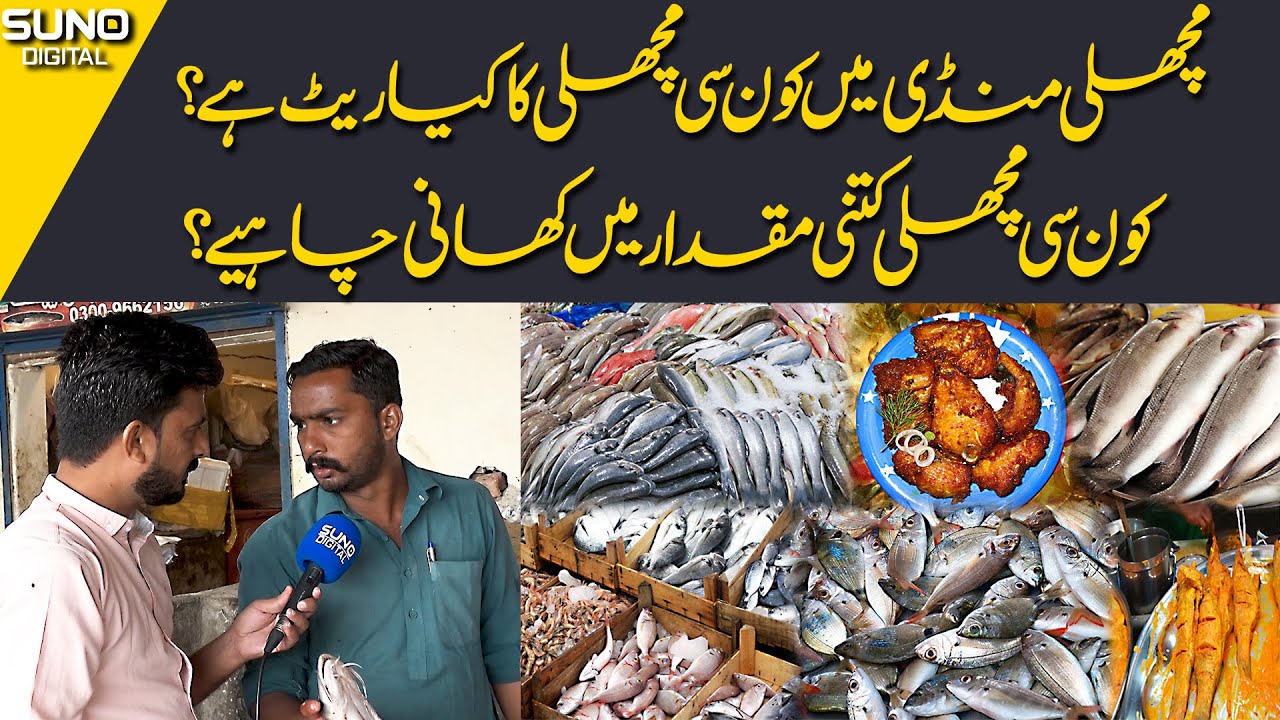 What is The Price Of Fish At Fish Market? Which Types Of Fish Should Be