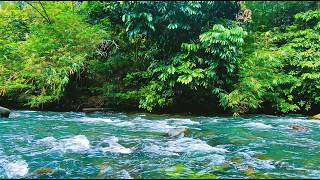 Peaceful River Flow, No Talking, No Music, Sleep & Relax Cozy Ember ASMR 🌙