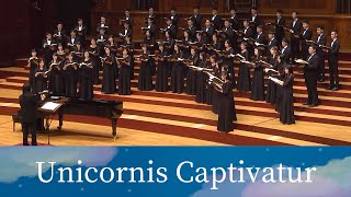 Unicornis Captivatur〈被捕獲的獨角獸〉(Ola Gjeilo) - National Taiwan University Chorus by NTU Chorus 台大合唱團 6,405 views 8 months ago 6 minutes, 39 seconds