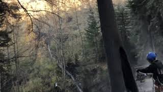 Cutting cat faces in Wyoming @rosavelt fire