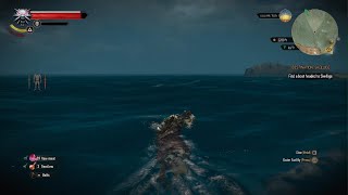 The Witcher 3: Velen Unknown Location #abhr84