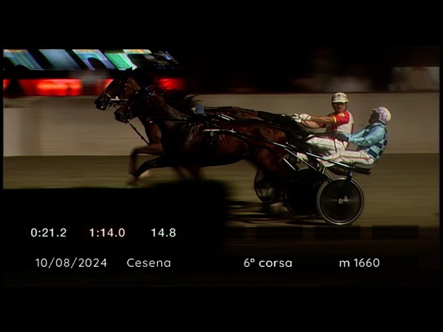 2024 08 10 | Corsa 6 | Metri 1660 | Premio Gran Premio Augusto Calzolari