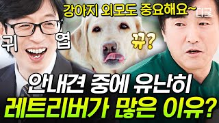 [#유퀴즈온더블럭] 레트리버가 유독 안내견이 많은 이유?🐕 귀여운 미모와 MBTI 외향형을 겸비한 똑똑 강아지기 때문에✌