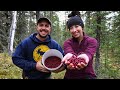 Wild Cranberries &amp; Spruce Grouse | Harvesting Dinner from the Forest