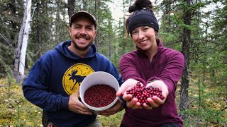 Wild Cranberries & Spruce Grouse | Harvesting Dinner from the Forest