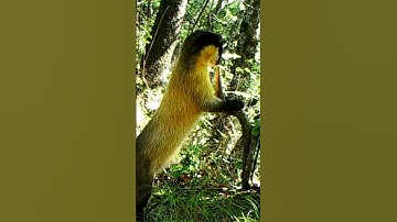 Scratch, scratch, scratch🙀 What do you do when you feel itchy?