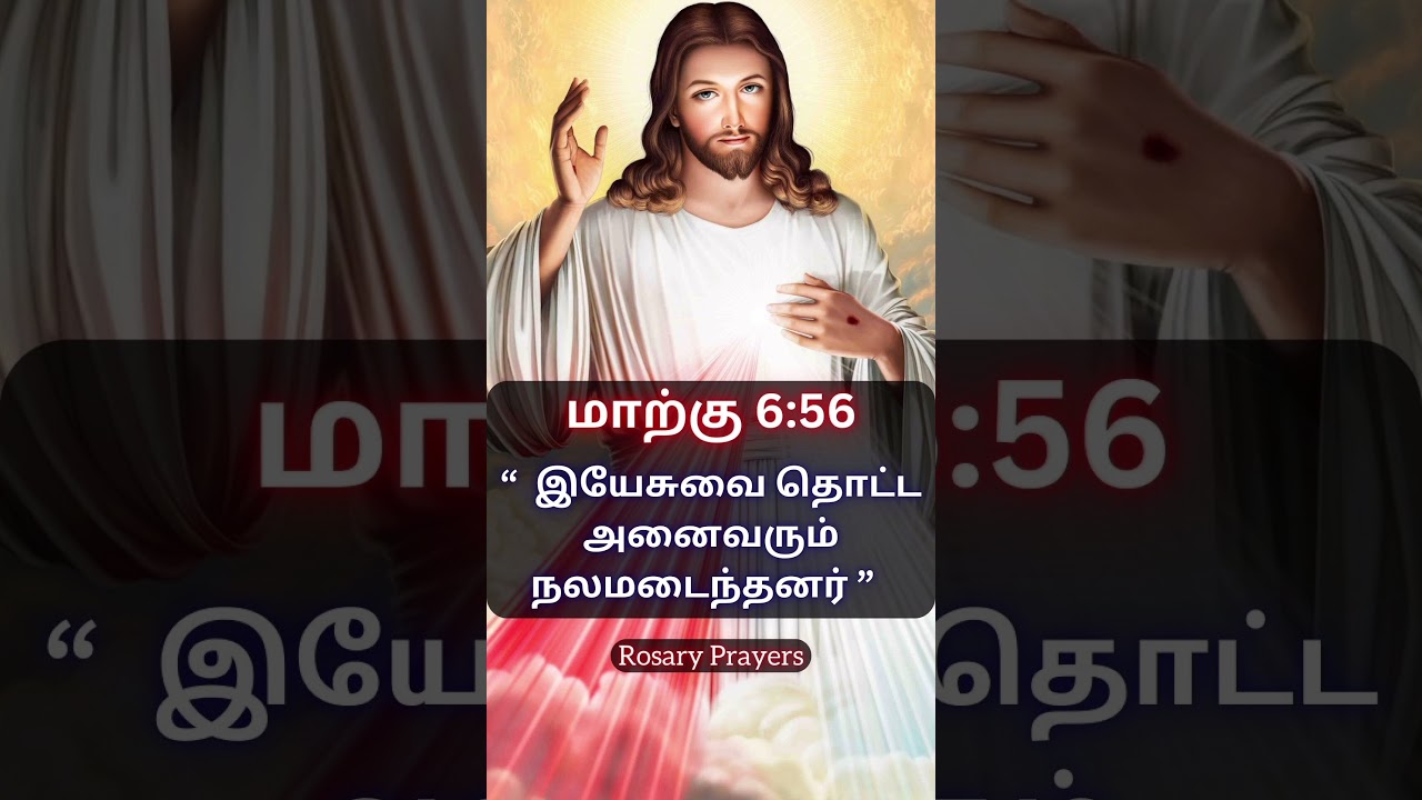 Today's Bible Verse in Tamil | 09-02-2026 