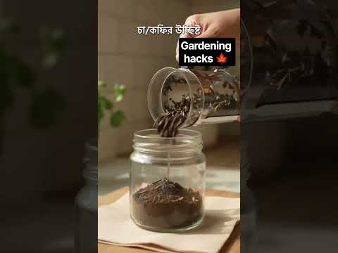 Gardening hacks 🍁🍁