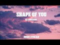 Ed Sheeran-Shape of You (Lyrics)
