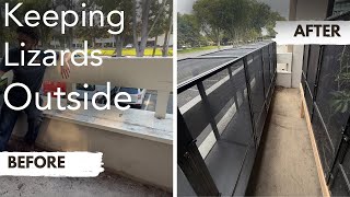 Keeping Anoles Outdoors - ZooMed ReptiBreeze