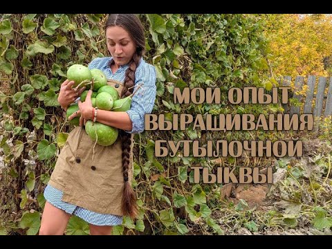 Видео: Как вырастить шафран: 13 шагов (с иллюстрациями)