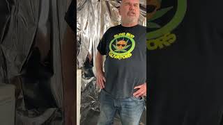 Germinating Microgreens BBC