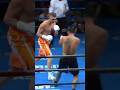 Conor Wallace vs Walter Gabriel Sequeira Full Fight Highlights - Wallace vs Sequeira Highlights