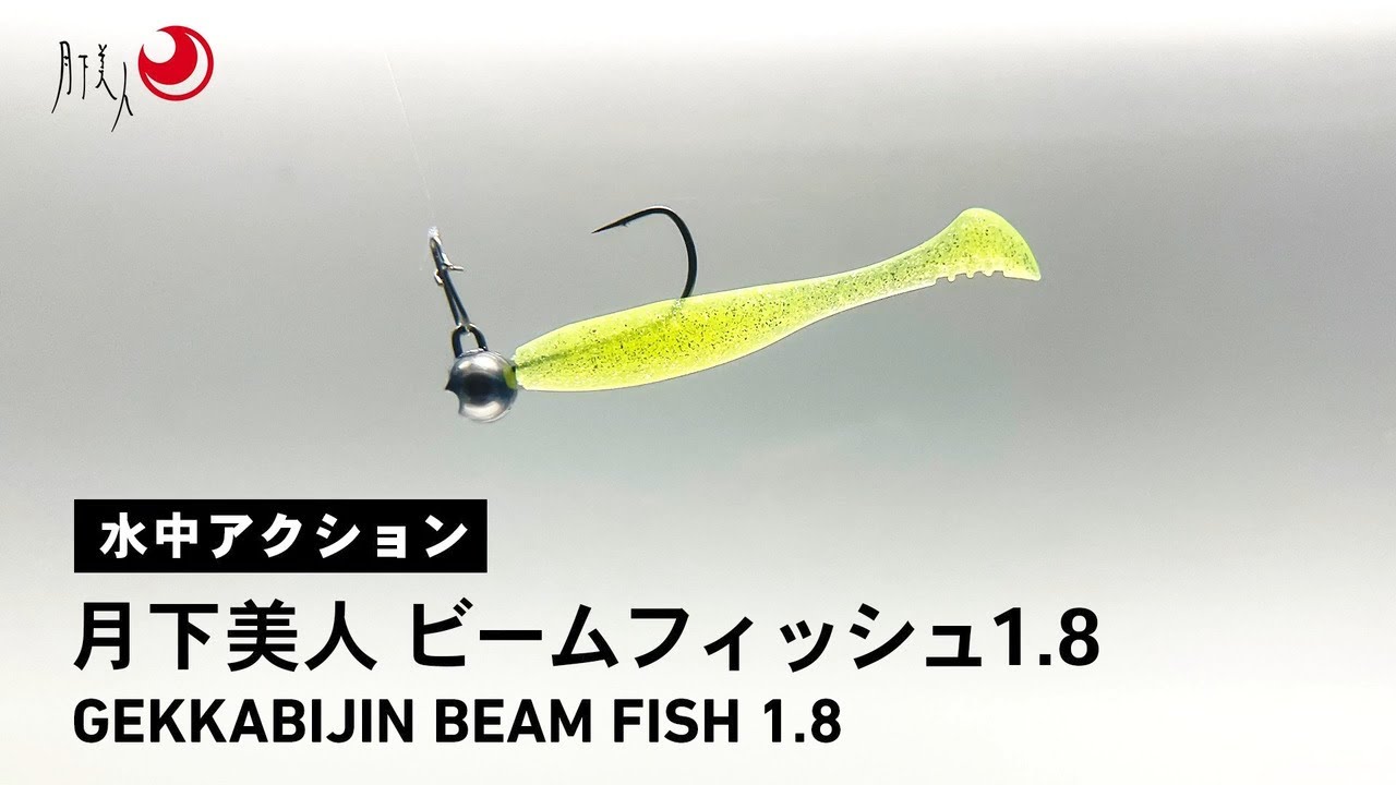 値下げしました♪ フィッシュビアード5'7\" ELEMENTSより新製品【DEEPBAIT170】入荷しました〜🤗 ディープベイトは