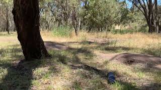 Just Cruising Around Hitting Bike Jumps