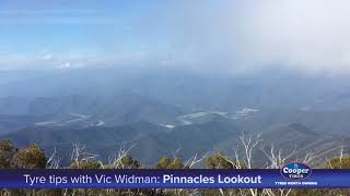 Vic Widman: Pinnacles Lookout