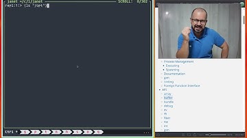 Why not learn Lisp? Start with Janet!