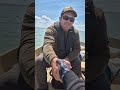 A kitartás meghozta a gyümölcsét – Balázs első balatoni süllői  #fishing #pergetés #guideservice
