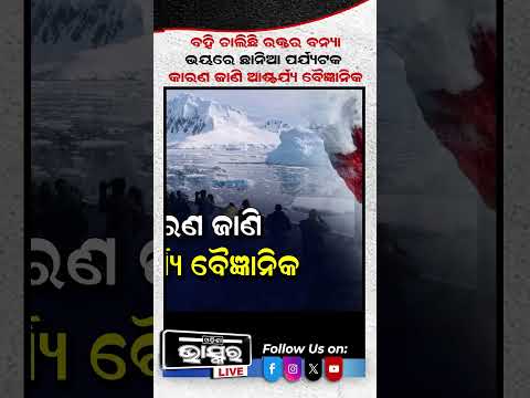 ଧଳା ବରଫ ତଳୁ ନିଗୁଡୁଛି... #ytshorts #shortsvideo #odishabhaskar