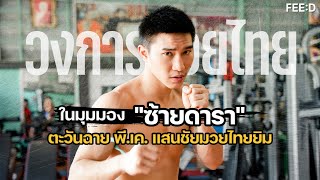 วงการมวยไทยในมุมมอง "ซ้ายดารา" ตะวันฉาย พี.เค. แสนชัยมวยไทยยิม : FEED