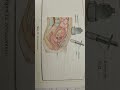 amniocentesis #reels #biology #medicalschoolcommunity