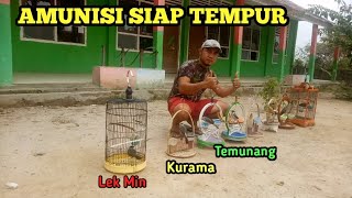 Amunisi Pikat Kutilang GACOR Siap Tempur