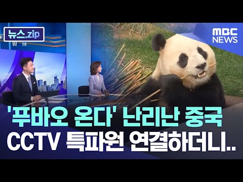 &#39;푸바오 온다&#39; 난리난 중국 CCTV 특파원 연결하더니.. [뉴스.zip/MBC뉴스]