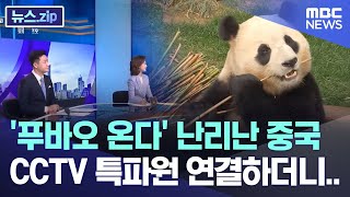 '푸바오 온다' 난리난 중국 CCTV 특파원 연결하더니.. [뉴스.zip/MBC뉴스]