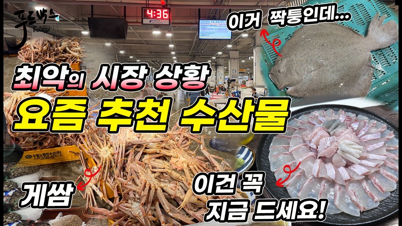 이번주에 무조건 먹어야 하는 이유 있는 생선~    처음보는 생선인데  뭔가 비슷하면서  다른 ... [노량진수산시장 20260716]