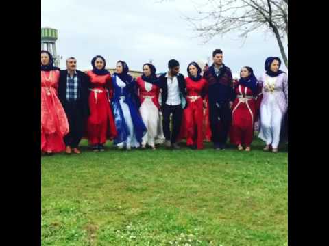 İnstgram= mustafa_torgut Şanlıurfa hilvan kuskunlu düğün halay kürtçe türkiye wedding güneydoğu