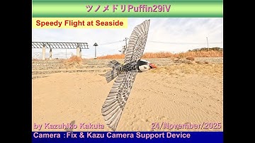 Ornithopter ツノメドリ型羽ばたき機　　Puffin29iV 118g：speedy Flight at Seaside