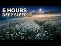 Relaxing Night in a Daisy Field🌼5 Hours Deep Sleep for Sleep (4K) | LoFi study focus #M
