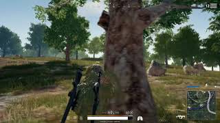PUBG Shadowplay Highlights Quality Test (8KWIN)