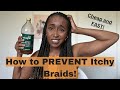 How to PREVENT Itchy Braids FAST! | Easy and Cheap Braiding Hair Hack!