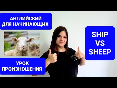 Ship vs Sheep. Практический урок произношения на английском. Английский для начинающих с нуля.