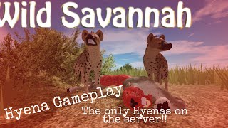 Testing A/Wild Savanah- HYENA GAMEPLAY- TO MANY LIONS AND DOGGOS (FEAT. DOCTOR HYENA) screenshot 2