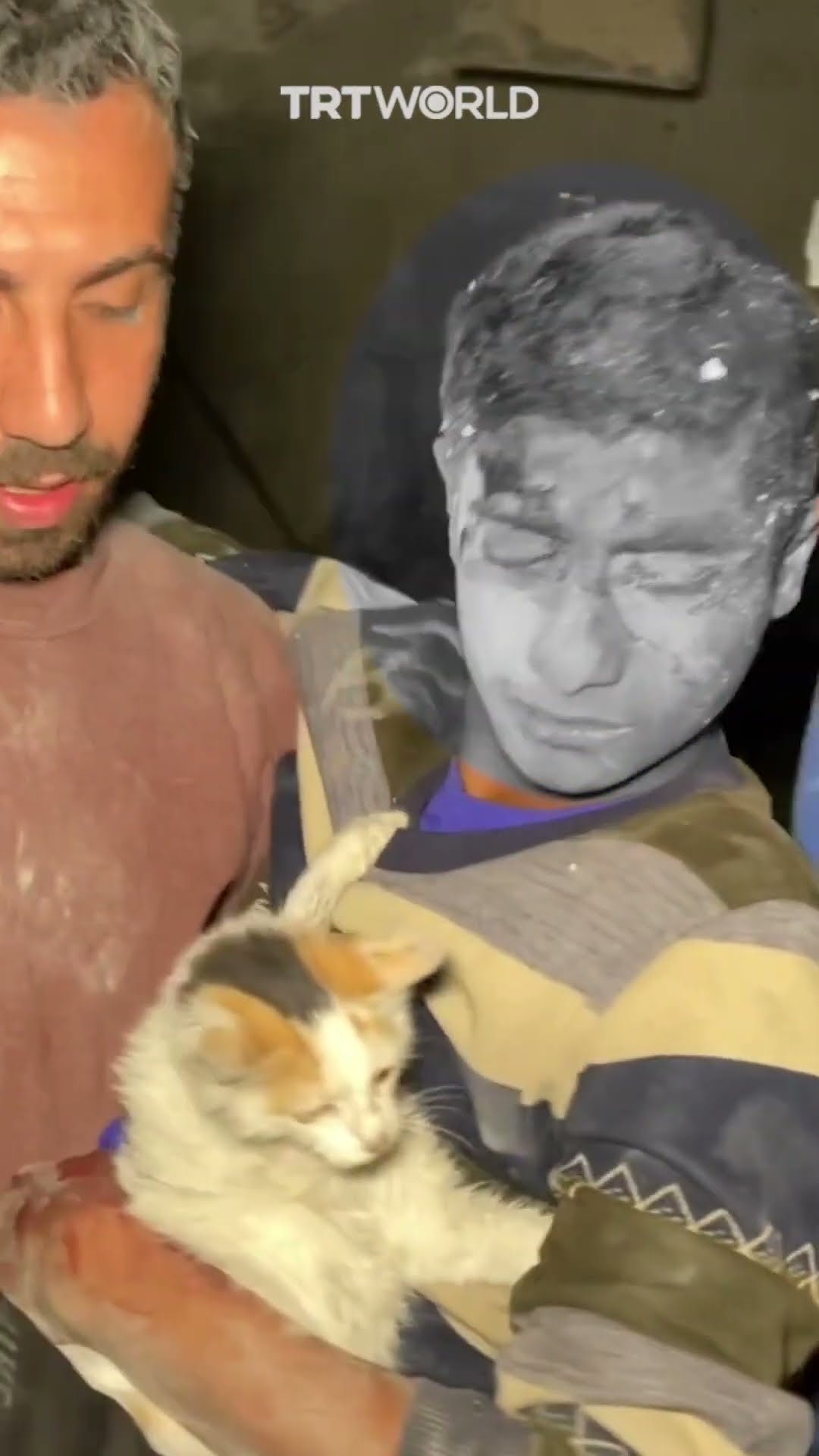 Palestinian boy rescued from the rubble refuses to part with his cat
