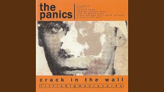Video thumbnail of "The Panics - Cash"