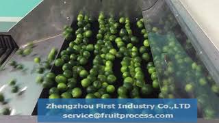 Famous Lime cleaning grading machine, lime size grader Profile