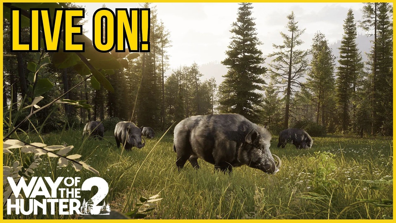 🔴LIVE ON! - WAY OF THE HUNTER 2 - !PIX para sua msg ser lida!