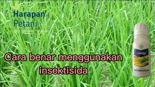 The correct way to use Payego insecticide News