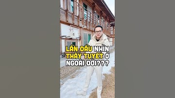 Cảm giác thế nào khi lần đầu nhìn thấy tuyết ở ngoài đời?  #duongmanhkien #knetwork