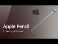 Обзор Apple Pencil и мнение художника