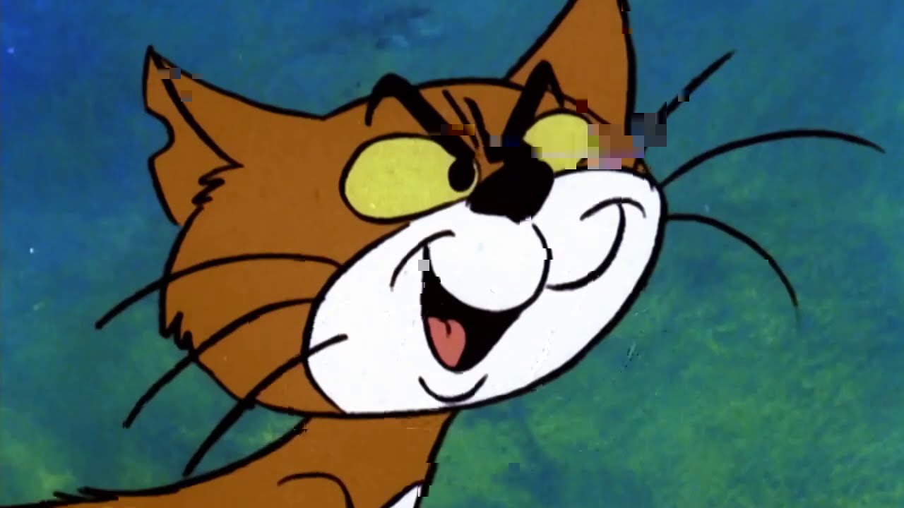 LA SORCIÈRE ET LES SCHTROUMPFS • Les Schtroumpfs